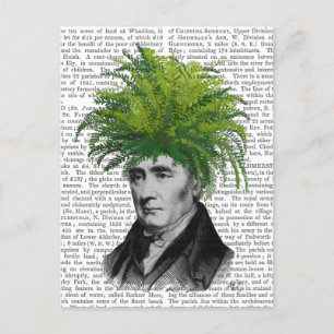 Fern Head Plant Briefkaart