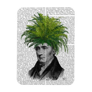 Fern Head Plant Magneet