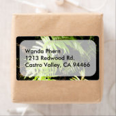 Fern in de Bossen Etiket (Insitu)