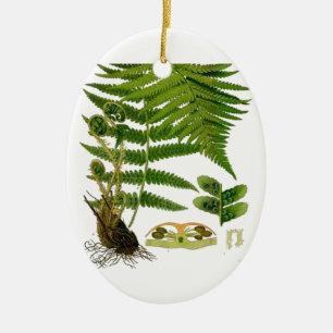 Fern Keramisch Ornament