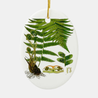Fern Keramisch Ornament