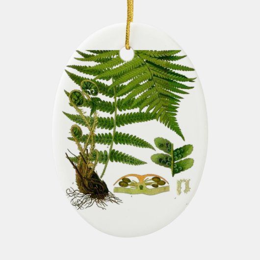 Fern Keramisch Ornament (Voorkant)