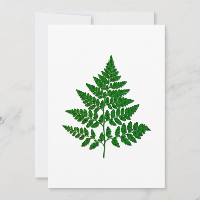 Fern leaf (Voorkant)