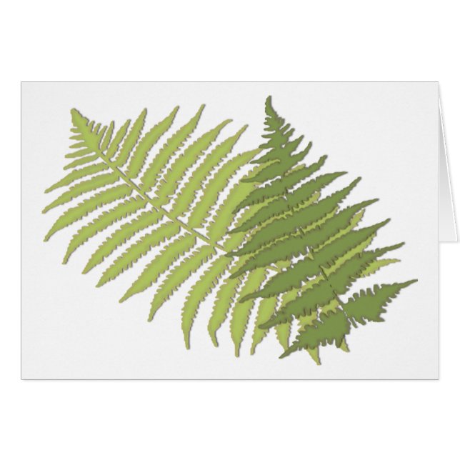 Fern Leaves (Voorkant Horizontaal)