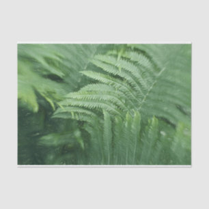 Fern Leaves Botanical Greenery Art Tissuepapier