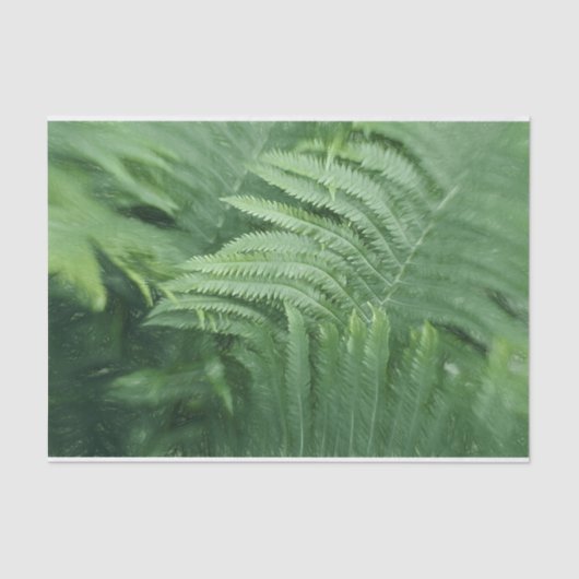 Fern Leaves Botanical Greenery Art Tissuepapier (Voorkant)