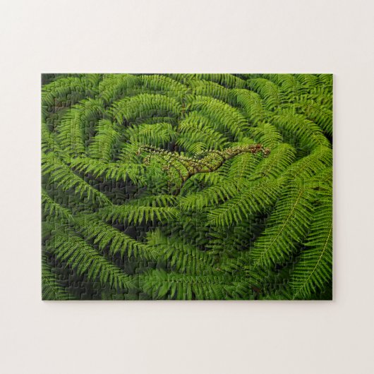 Fern Leaves Legpuzzel (Horizontaal)