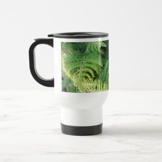 Fern Leaves. Reisbeker (Links)