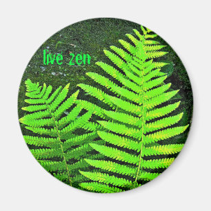 fern live zen magnet magneet