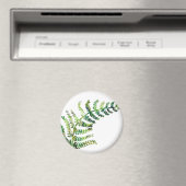 Fern Magnet (In Situ (Lave-vaisselle))