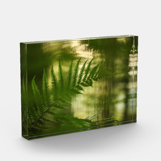 Fern Natuur Foto (Links)