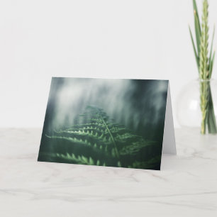 Fern Natuur Foto Kaart
