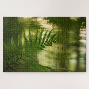 Fern Natuur Foto Legpuzzel