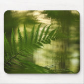 Fern Natuur Foto Muismat (Voorkant)