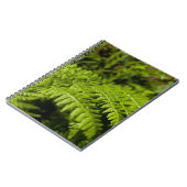 fern notitieboek (Linkerzijde)