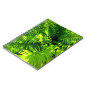 Fern Notitieboek (Linkerzijde)