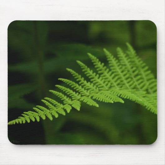 Fern P6597 Mousepad Muismat (Voorkant)