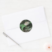 Fern & paddenstoel bij Stump Coordinating Items Ronde Sticker (Envelop)