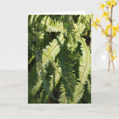 "Fern patronen" notitiekaart (Gele Bloem)