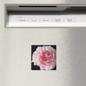 Fern Pioen Vierkante Magneet (Insitu (Vaatwasser))