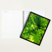 Fern Planner (Display)