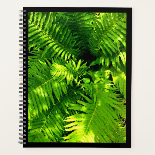 Fern Planner (Voorkant)