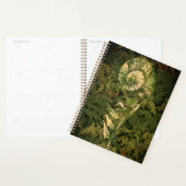 Fern Planner (Display)