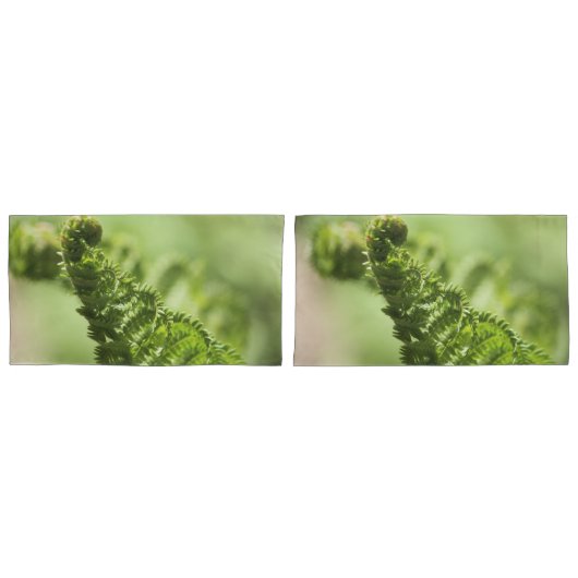 Fern Shams Kussensloop (Voorkant-Set)