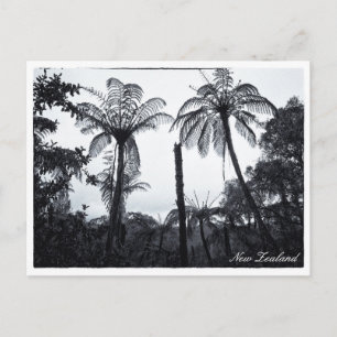 Fern Tree Forest, Natuur, Nieuw-Zeeland Briefkaart