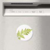 fernbladeren magneet (Insitu (Vaatwasser))