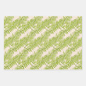 Ferne à plumes sur un ensemble de papier d'envelop (Devant 3)