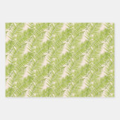 Ferne à plumes sur un ensemble de papier d'envelop (Devant 2)