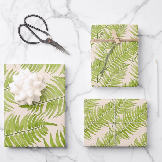 Ferne à plumes sur un ensemble de papier d'envelop (Recto)