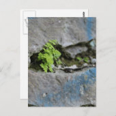 Ferne déterminée dans Boulder Blue Graffiti Carte  (Devant / Derrière)