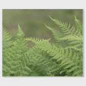 fernegroen cadeaupapier (Vlak)