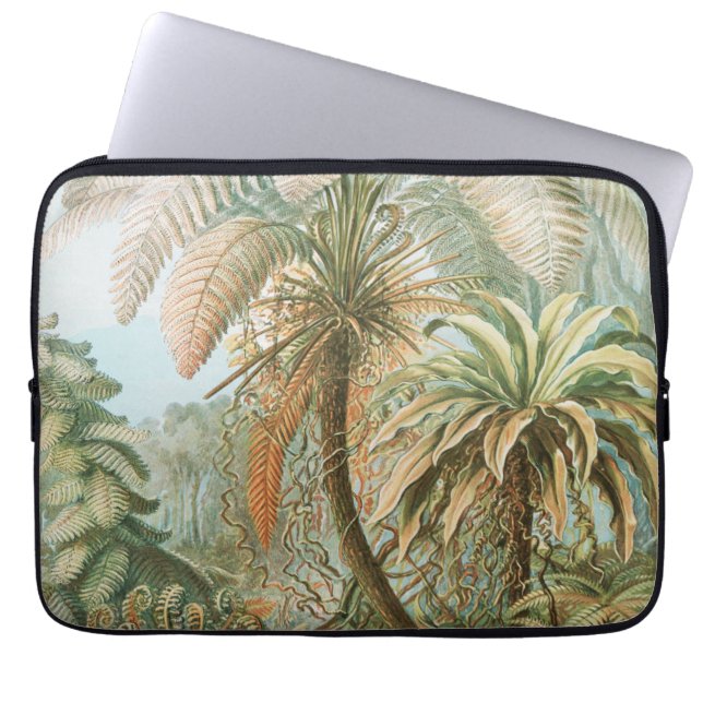 Ferns, Filicinae Laubfarne door Ernst Haeckel Laptop Sleeve (Voorkant)