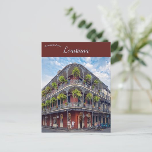 Ferns in het Franse kwart New Orleans Louisiana Briefkaart (Staand voorkant)