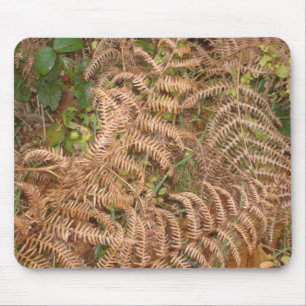 Ferns in het najaar muismat