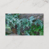 Ferns in Philadelphia Visitekaartje (Achterkant)