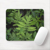 Ferns Muismat (Met muis)