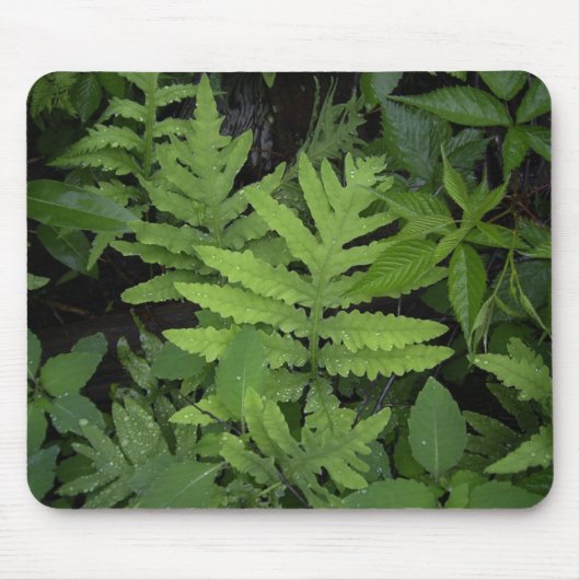 Ferns Muismat (Voorkant)
