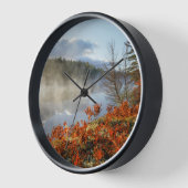 Ferns op Shoreline | Paradise, Michigan (Hoek)