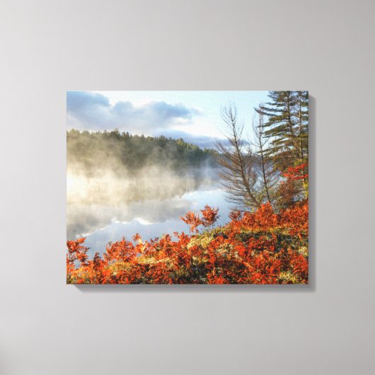 Ferns op Shoreline | Paradise, Michigan Canvas Afdruk (Voorkant)