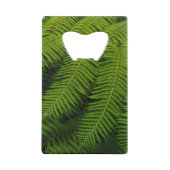 Ferns - Photographie d'Art (Dos)
