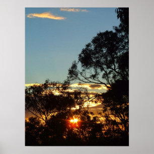 ferntree gully zon schittering Poster