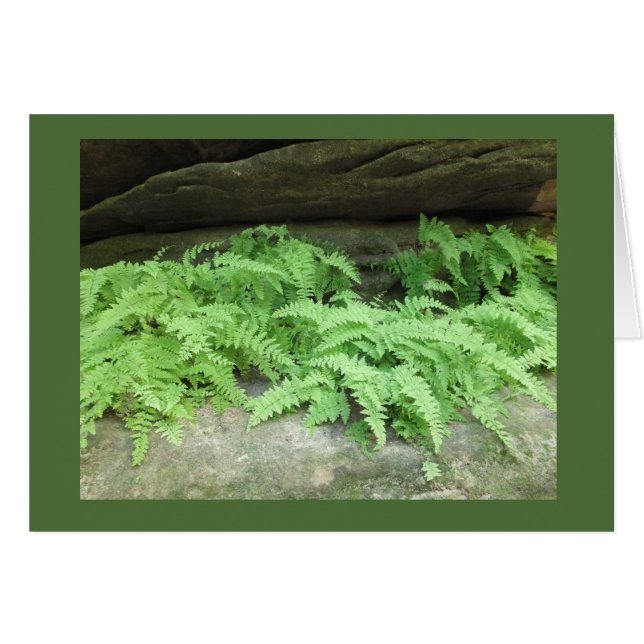 Ferny Ledge (Voorkant Horizontaal)