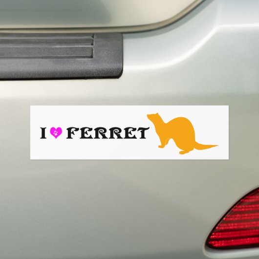 Ferret (5) bumpersticker (Op auto)