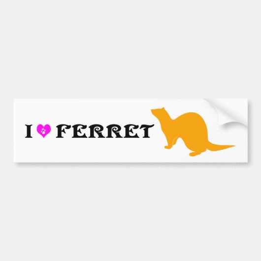 Ferret (5) bumpersticker (Voorkant)