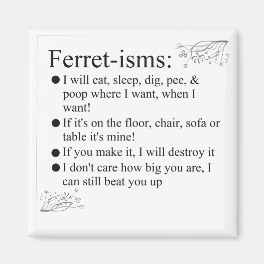 Ferret Afbeeldingen Gezegden en offertes Magneet (Voorkant)