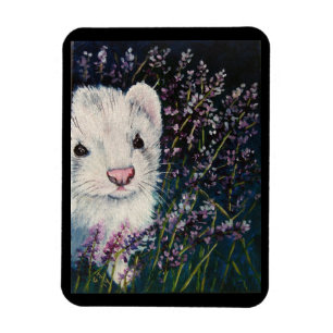 ferret and lavender magnets